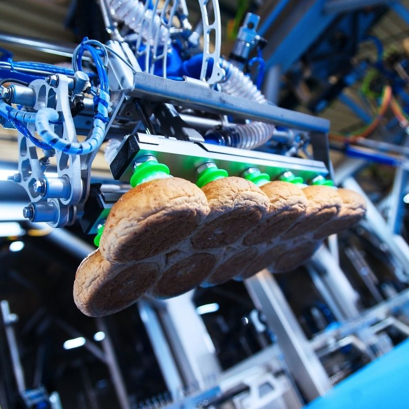 PWR Automated Packaging Robots